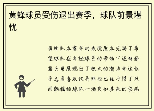 黄蜂球员受伤退出赛季，球队前景堪忧