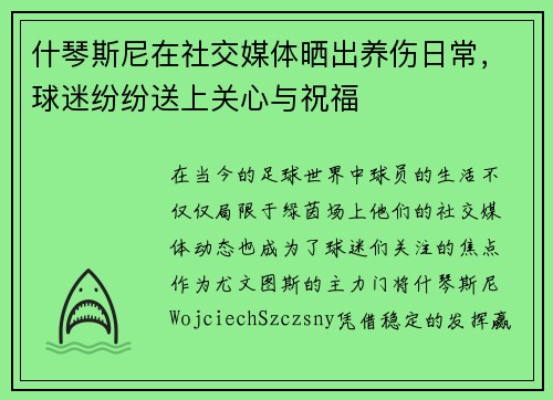 什琴斯尼在社交媒体晒出养伤日常，球迷纷纷送上关心与祝福