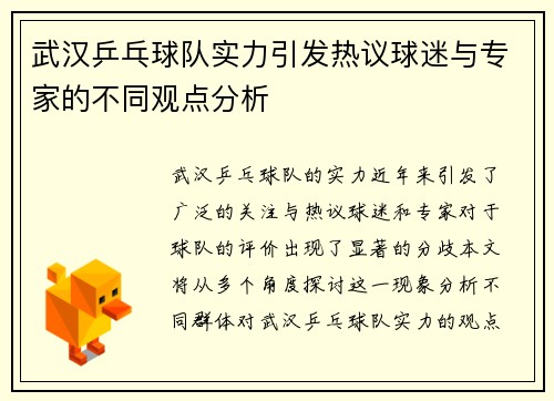 武汉乒乓球队实力引发热议球迷与专家的不同观点分析